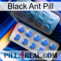 Black Ant Pill 40